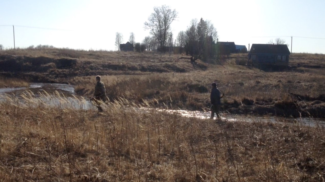 Весенняя охота на птиц